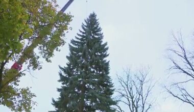 2025 Milwaukee Christmas tree search begins; nominations through Sep. 29