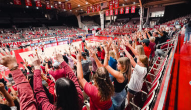 Hogs Taken Down by Tigers on Sunday