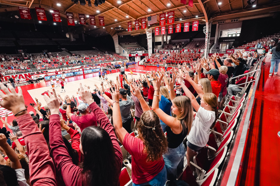 Hogs Taken Down by Tigers on Sunday