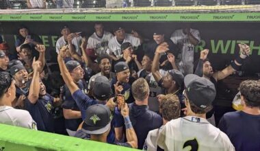 Fireflies sweep Pelicans to earn spot in Carolina League Championship Series | Communities