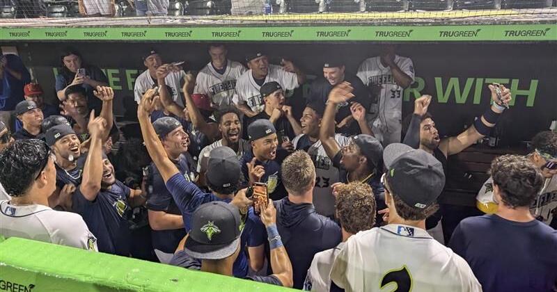 Fireflies sweep Pelicans to earn spot in Carolina League Championship Series | Communities