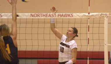 Brown's big night powers Hawks to sweep of Lakers | Sports