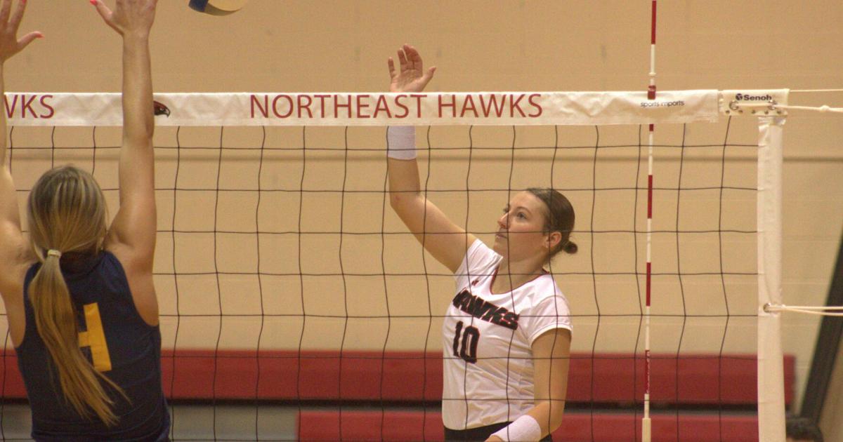 Brown's big night powers Hawks to sweep of Lakers | Sports