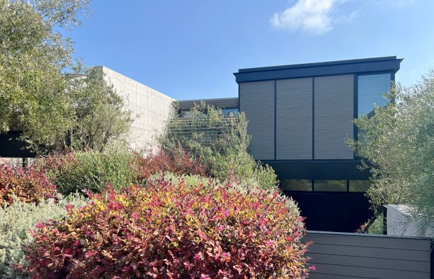 Luka Doncic of the Los Angeles Lakers purchased retired tennis star Maria Sharapova's custom Japanese-inspired home in Manhattan Beach in late August for $25 million. (Photo by Dean Musgrove, Los Angeles Daily News/SCNG)