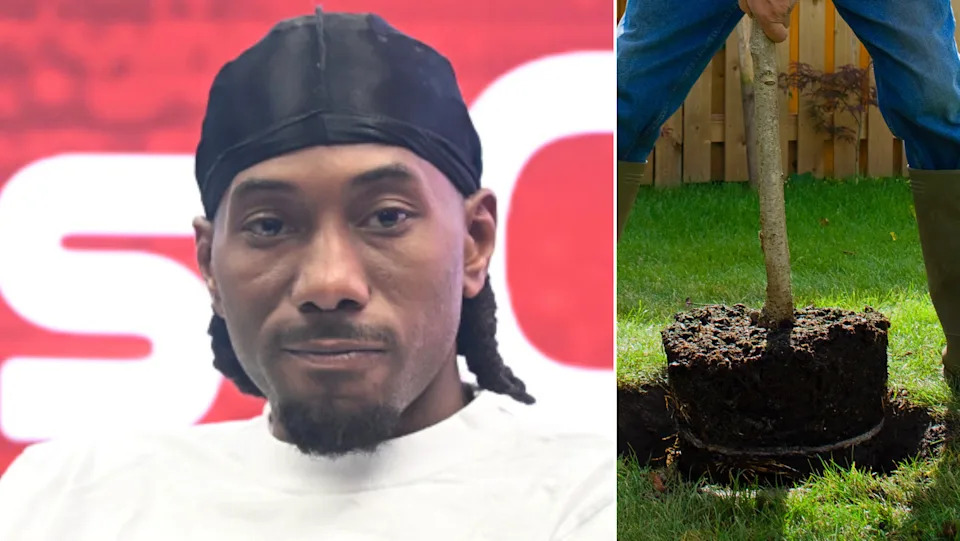 NBA Star Kawhi Leonard of the Los Angeles Clippers attends a press conference during his 2025 Asia Tour on August 23, 2025, in Jianyang, Chengdu City on the left; on the right, someone planting a tree in a garden.