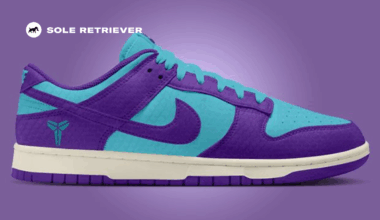 Nike Kobe Dunk Low Protro is Getting a Charlotte Hornets Colorway