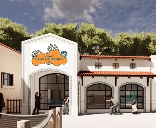 San Antonio Zoo to open new ocean conservation lab next year to help protect coral reefs