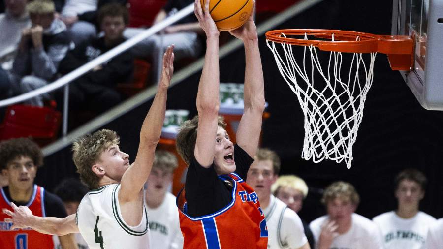 Will Openshaw, BYU Basketball, Timpview High...