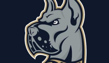 Bluefield State men's hoops rate No. 8 in CIAA preseason poll | Sports