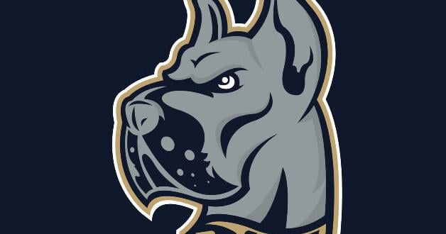 Bluefield State men's hoops rate No. 8 in CIAA preseason poll | Sports