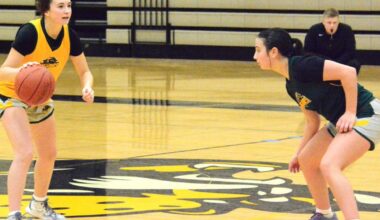 WOMEN'S COLLEGE BASKETBALL: DACC women starting from scratch | Sports