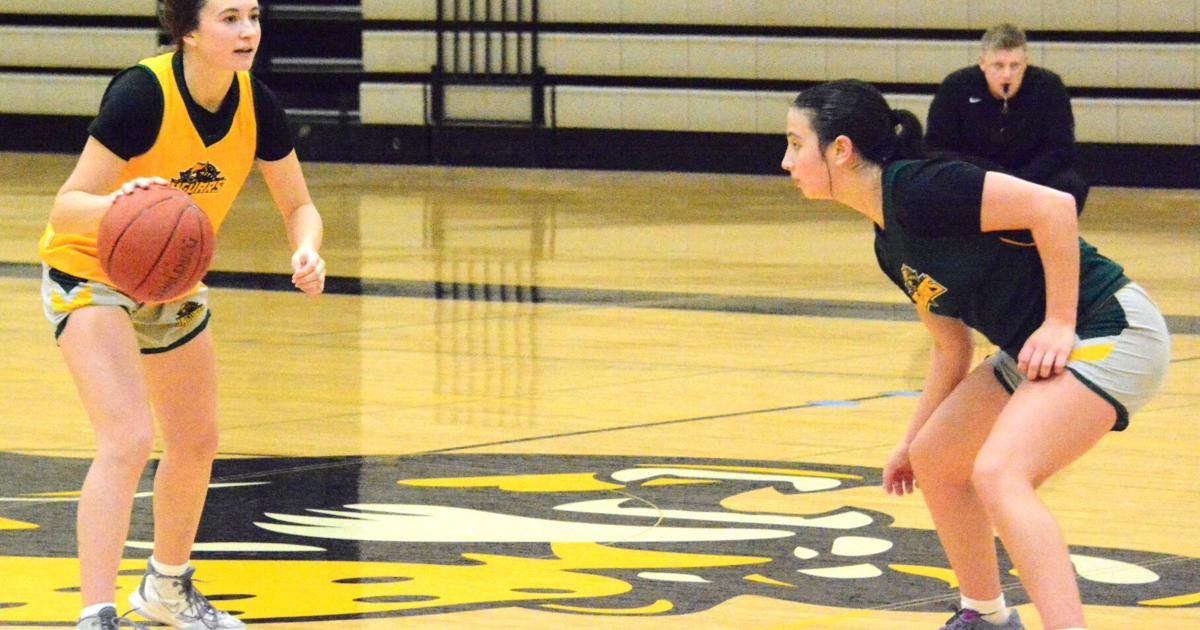 WOMEN'S COLLEGE BASKETBALL: DACC women starting from scratch | Sports