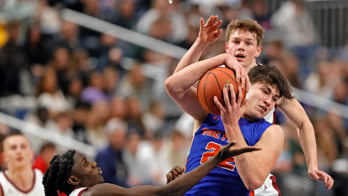 Get to know Notre Dame basketball player Tommy Ahneman