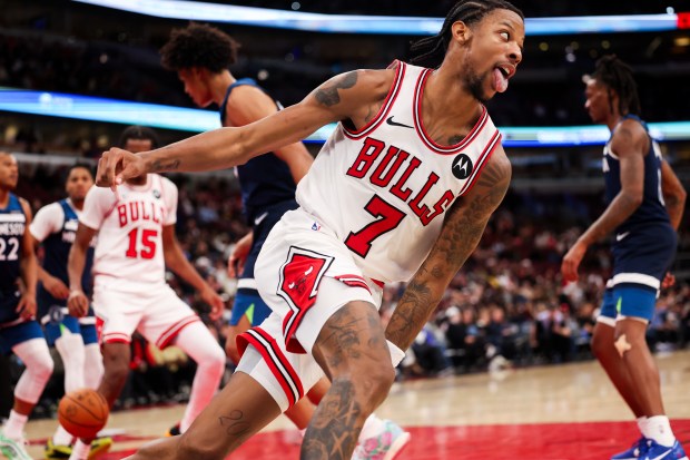Chicago Bulls forward Dalen Terry (7) sticks his tongue out after making a basket during the fourth quarter against the Minnesota Timberwolves at the United Center Thursday Oct. 16, 2025, in Chicago. (Armando L. Sanchez/Chicago Tribune)