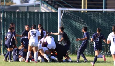 Fists fly as Falcons beat the Hornets