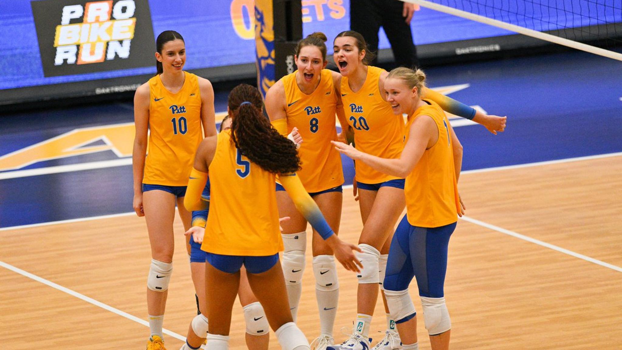 Pitt Volleyball