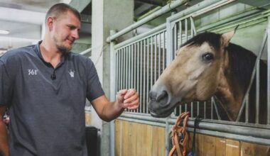 LeBron, Jokic and more 2025 NBA offseason moments told by social media