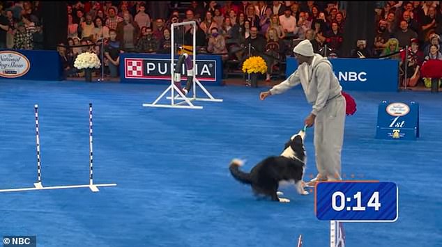 One pup, Howie, got distracted by the toy in Maxey's hand, derailing his run attempt