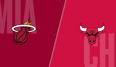 Heat Bulls