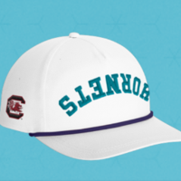 Hornets to host Gamecock Night at Spectrum Center | Communities