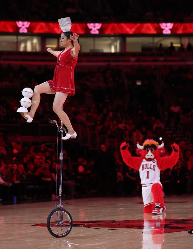Benny the Bull looks on as Red Panda performs at halftime of a game between the Chicago Bulls and the Philadelphia 76ers at the United Center in Chicago on Nov. 4, 2025. (Chris Sweda/Chicago Tribune)