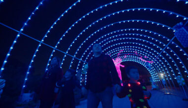 Frida Fest, Zoo Lights, SeaWorld Christmas Celebration