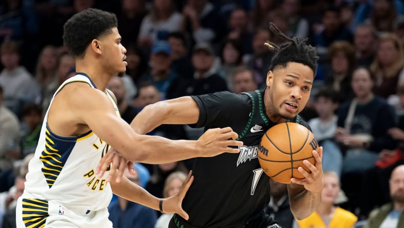 Terrence Shannon Jr., Minnesota Timberwolves