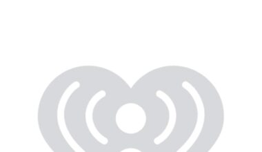 Nuggets vs. Warriors Injury Report – Nov. 7