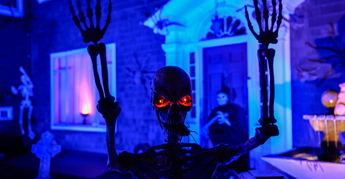 Five Out: Halloween tricks & treats for The Rockets