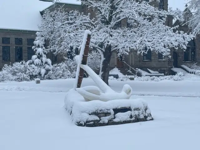 UPDATE: Hope Loses in NCAA DIII Football Tourney; Red Wings, Pistons Fall on Friday, but Bears & Griffins Win | 1450 AM 99.7 FM WHTC