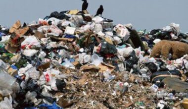 Сміття у Рівному - проблема чи заробіток? [ОПИТУВАННЯ]. Рівне. Новини - Новини Рівного. Відео on-line. Все про телекомпанію