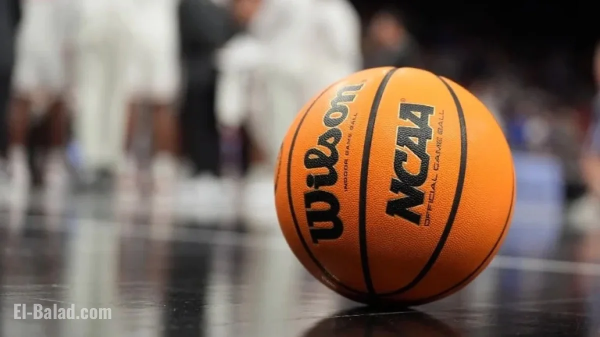 William & Mary vs Bowling Green: NCAAB Predictions & Top Bets for Nov. 19