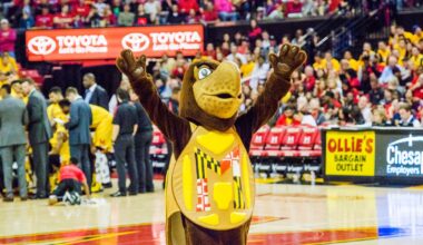 Maryland Terrapins Testudo mascot