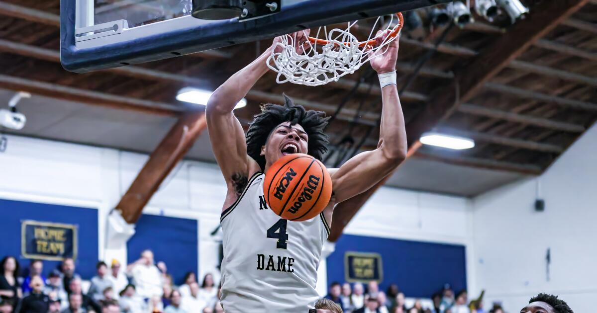 Top basketball player Tyran Stokes withdraws from Notre Dame High