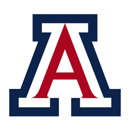 Norfolk State Spartans vs Arizona Wildcats - November 29, 2025 - Picks, Odds & Stats