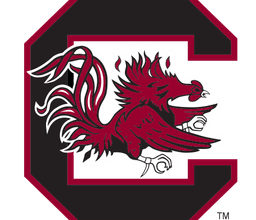 Southern Miss Golden Eagles vs South Carolina Gamecocks - November 9, 2025 - Picks, Odds & Stats