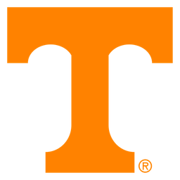 Rice Owls vs Tennessee Volunteers - November 18, 2025 - Picks, Odds & Stats