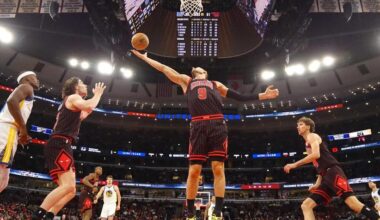 Hornets vs. Bulls Prediction, Odds, Picks, Best Bets for Dec. 12