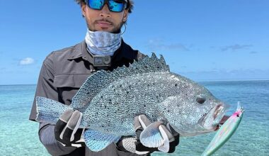 Simmons shows what appears to be a grouper. The Australian is now a competitive fisherman