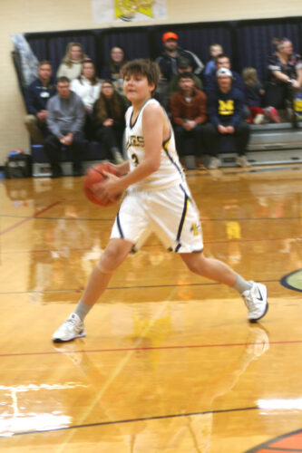 Lakes sink Vikings on the basketball court, 64-54 | News, Sports, Jobs