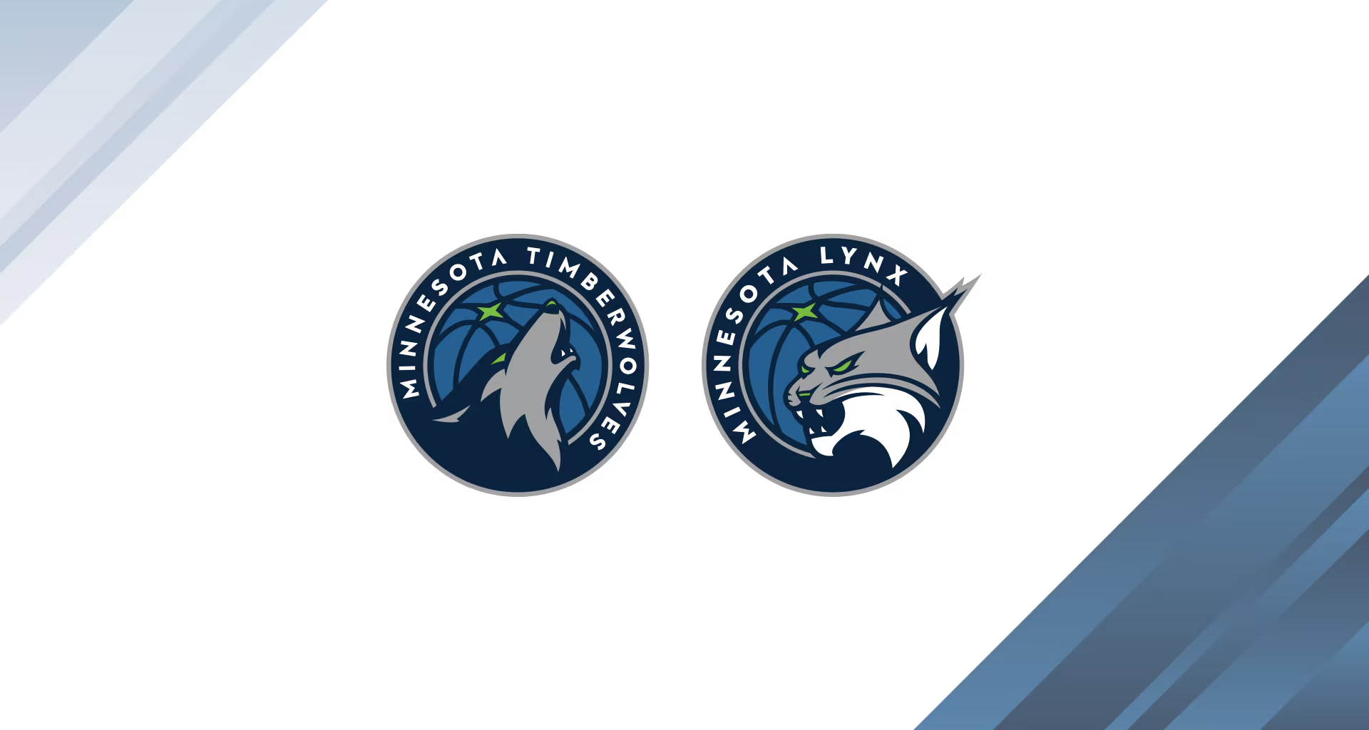 Timberwolves And Wild Owners Want Money To Repair Arena Issues