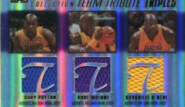 Top Karl Malone Basketball Cards of the 2000s