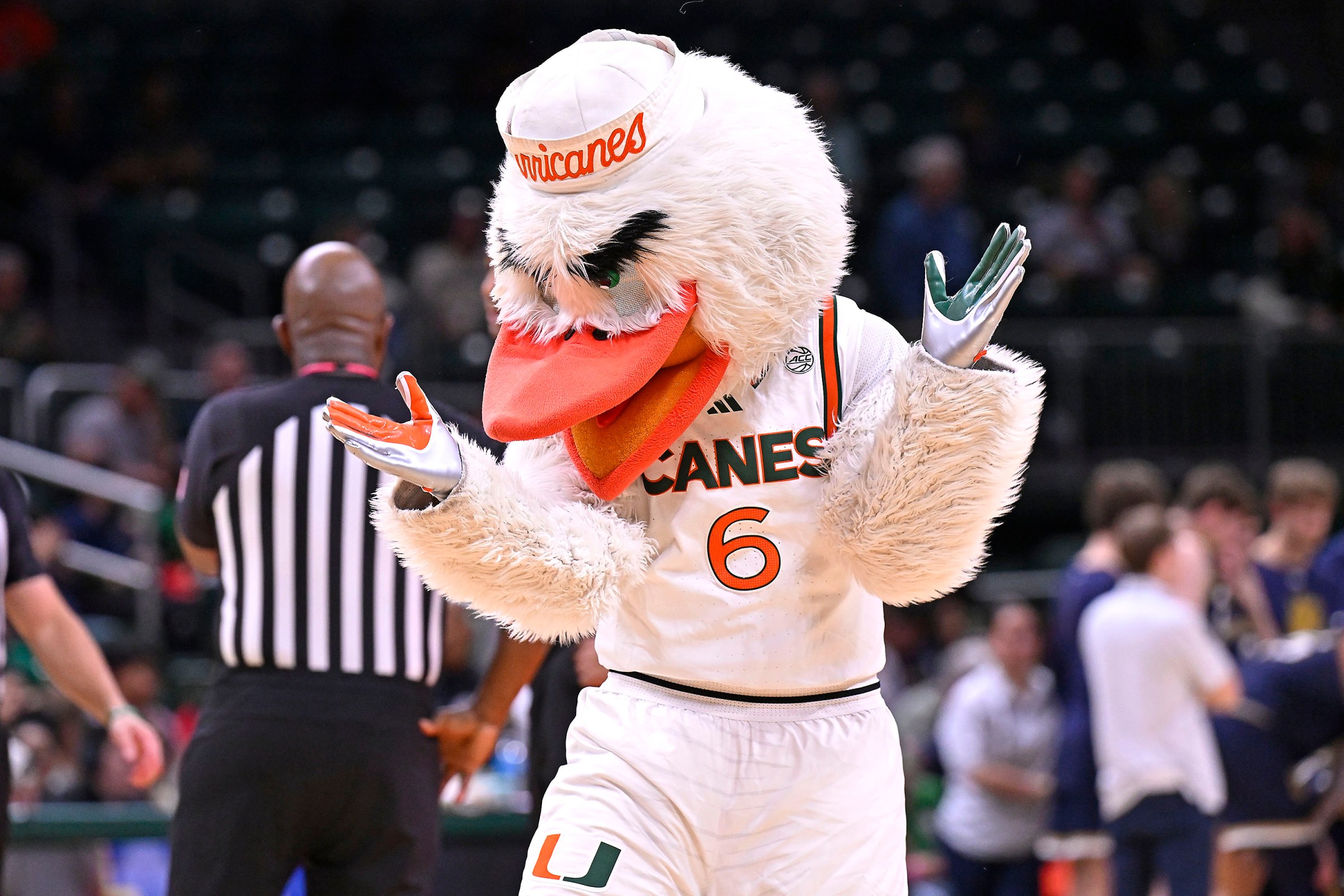 COLLEGE BASKETBALL: FEB 01 Notre Dame at Miami