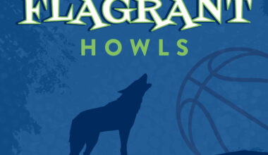 Should Minnesota Timberwolves pursue Chris Paul? – SKOR North