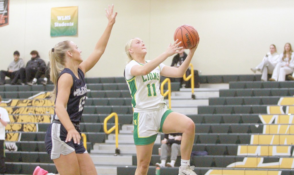 Slideshow: West Linn-Wilsonville Girls Basketball