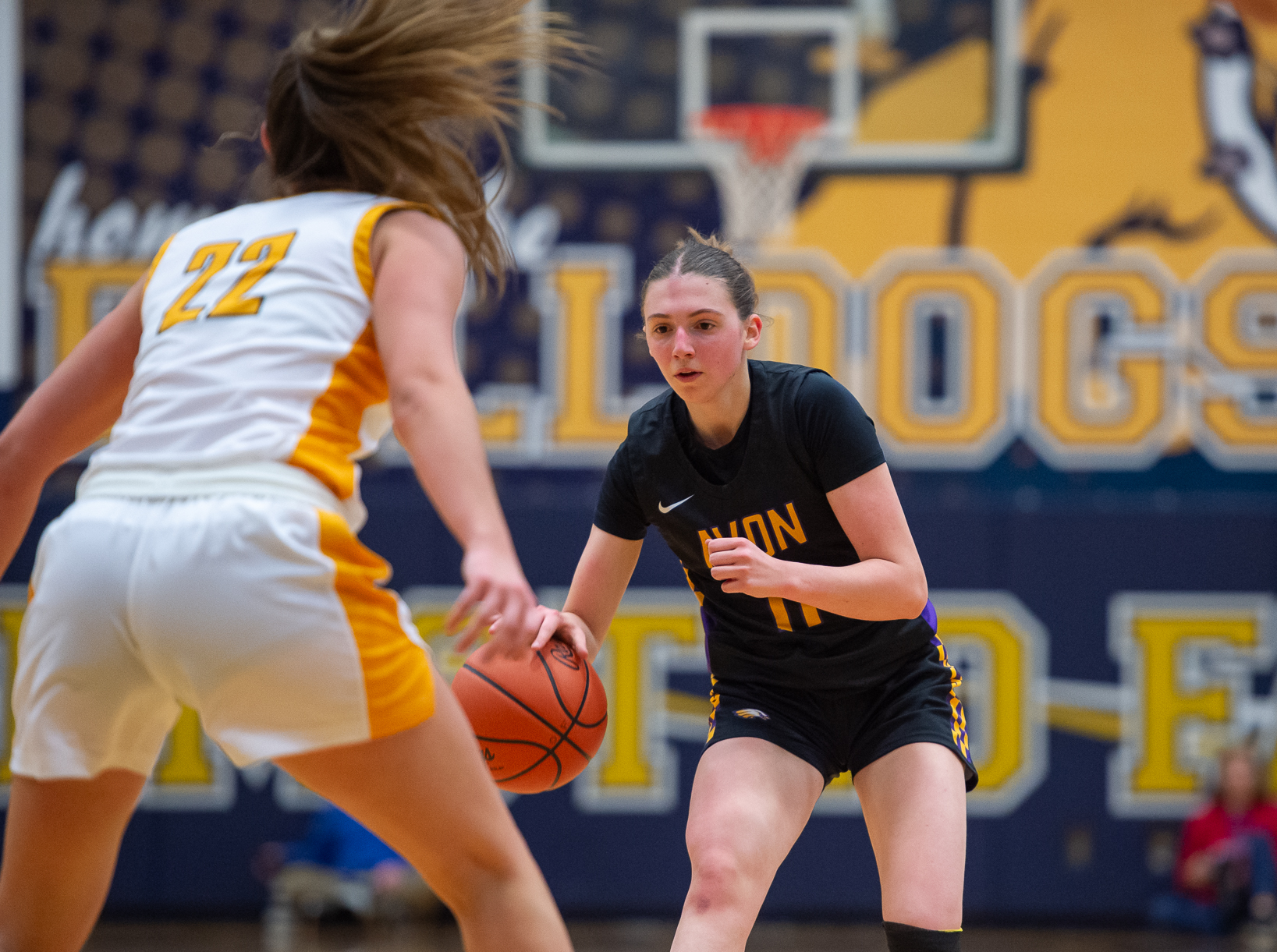 Aimee Bielozer's photos from Avon-Olmsted Falls girls basketball Dec. 17,...