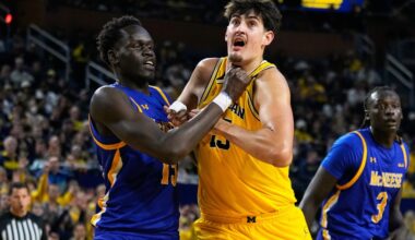 Michigan basketball closes out year perfect by crushing McNeese State – Macomb Daily