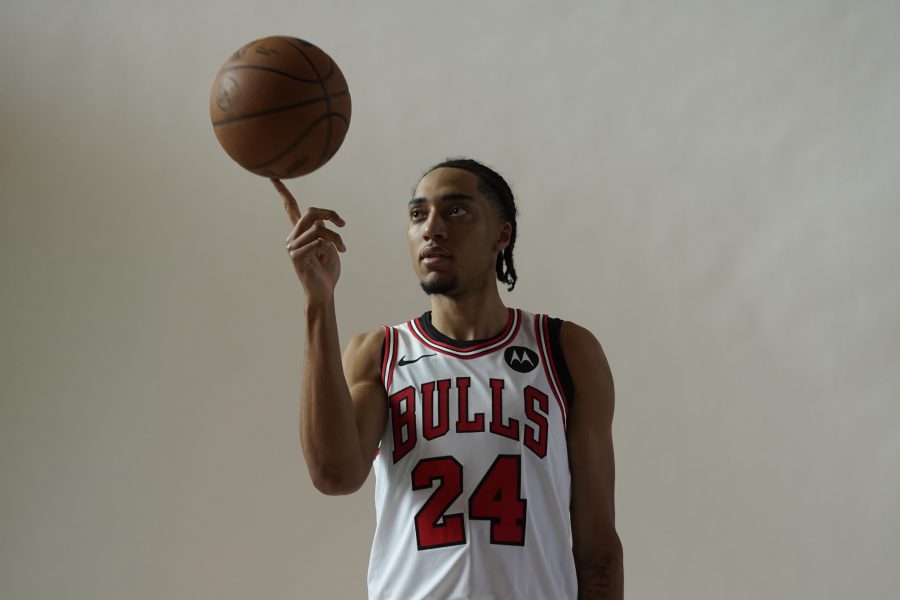 Noa Essengue Chicago Bulls