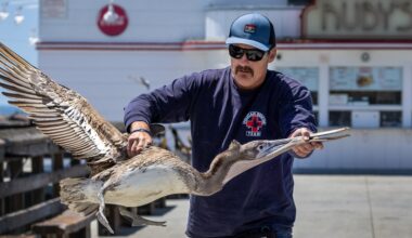Get Your Blazers-Pelicans Second-Half Discussion Here!