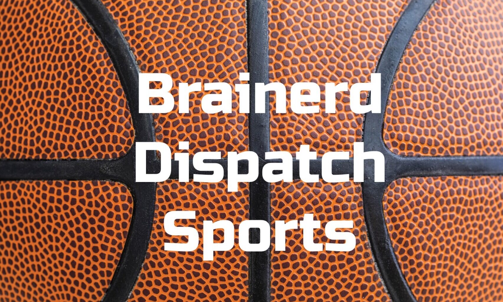 Area Boys Basketball: Gobblers win home tourney - Brainerd Dispatch